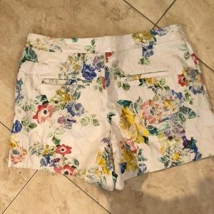 Anthro Size 8 shorts